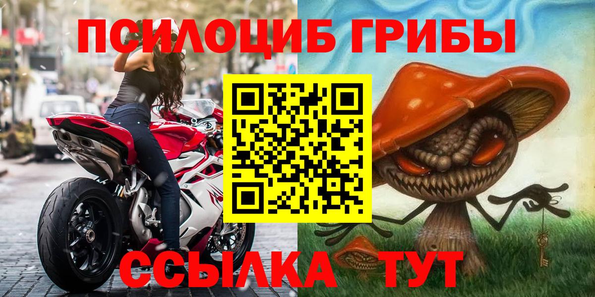 Псилоцибиновые грибы GOLDEN TEACHER  Вход с VPN  Острогожск  Галлюциногенные грибы мухоморы 