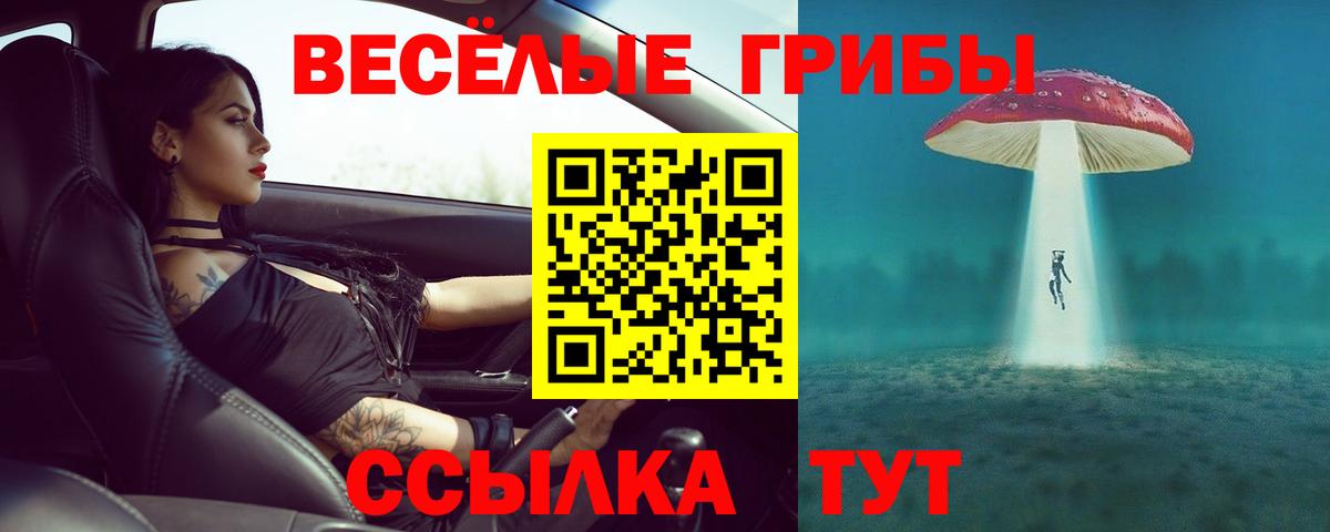 Псилоцибиновые грибы мухоморы Острогожск